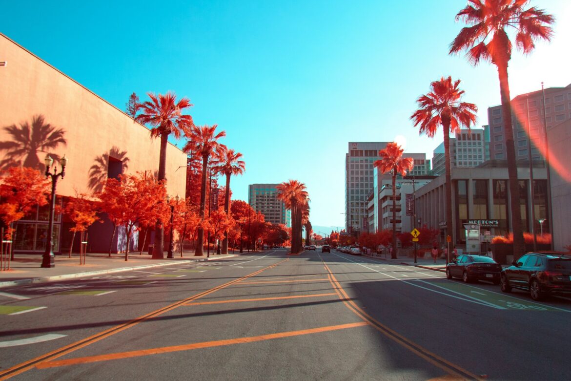 Discover the Best Free Museums in California for March 2024 road between palm trees