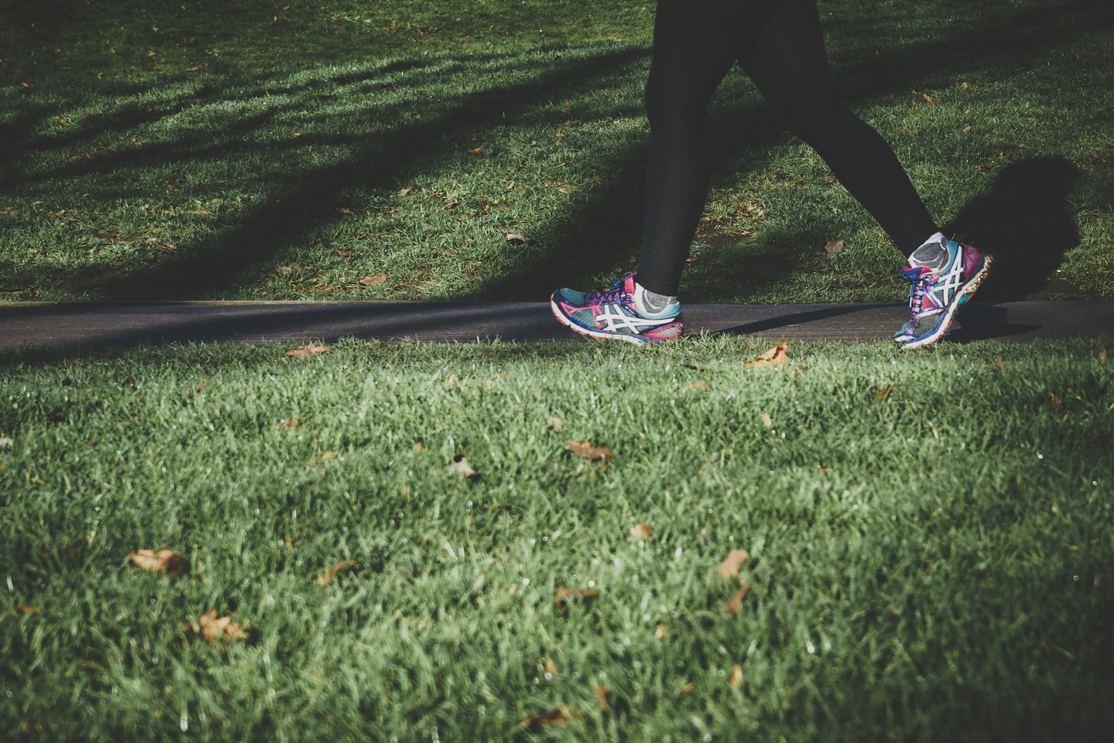 Discover Nashville's Hidden Gems: The 5 Best Places for Walks 1 walks