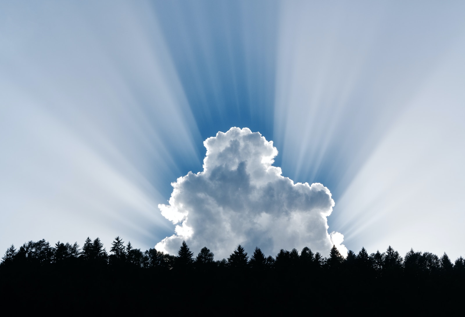 Reviewing The Book Meeting Jesus Again For The First Time’ photography of clouds and forest trees