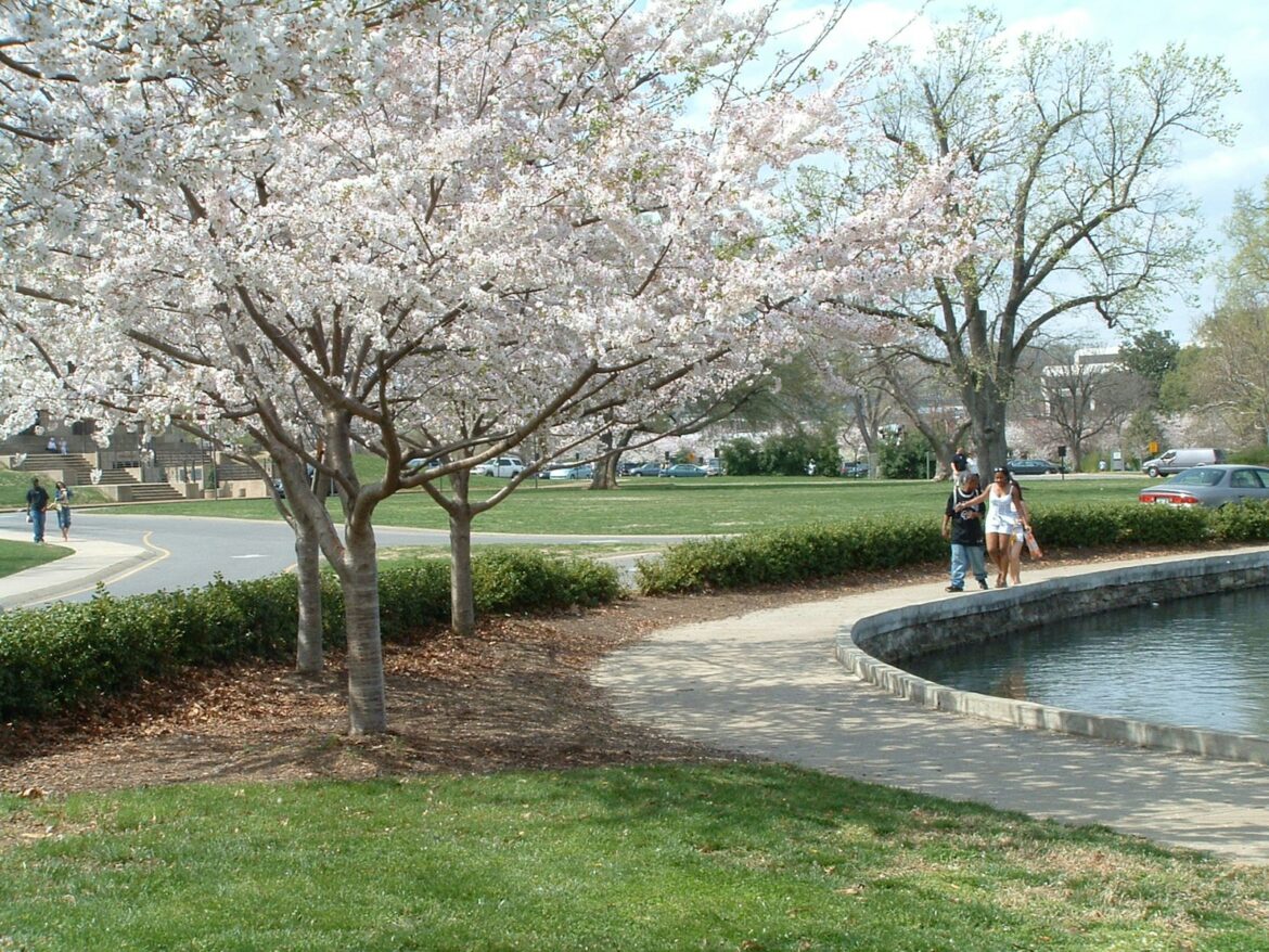 Discover Nashville’s Hidden Gems: The 5 Best Places for Walks a couple of people walking down a sidewalk next to a pond
