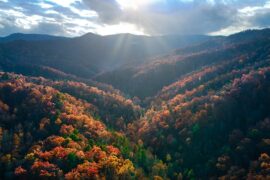 The Best Roadtrips from Nashville for Mountain Views and Outdoor Adventures 1 The Best Roadtrips from Nashville for Mountain Views and Outdoor Adventures
