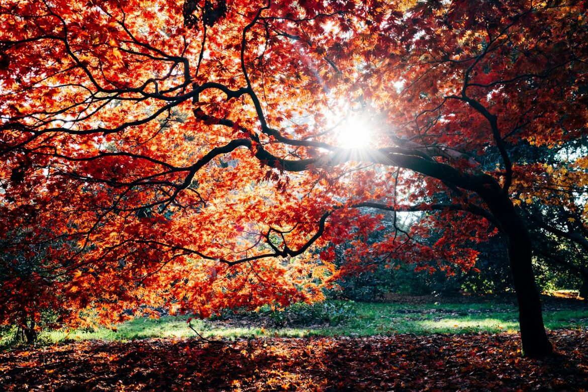 nashville fall
